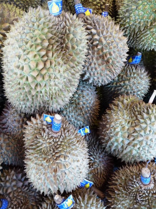 Dur durian